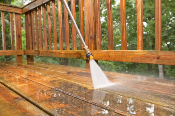 Best Roof Pressure Washing  in Essex Village, CT